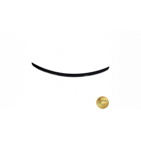 Zadné krídlo Mercedes-Benz CLS C219 Lip Gloss Black