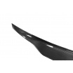 Zadné krídlo Mercedes-Benz CLS Lip Carbon