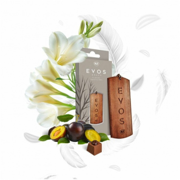 Osvěžovač K2 EVOS GRACE ANGEL - dřevěná vonná visačka Osvěžovač K2 EVOS GRACE ANGEL - dřevěná vonná visačka