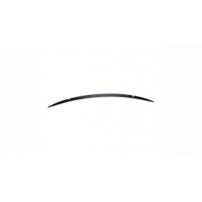 Zadné krídlo Mercedes-Benz A W177 Lip Carbon Look